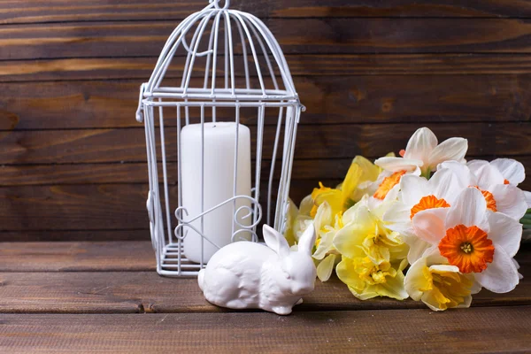 Easter decorative rabbit, colorful daffodils  flowers — 图库照片