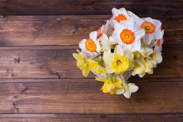 Narcisi freschi bianchi e gialli primaverili — Foto Stock