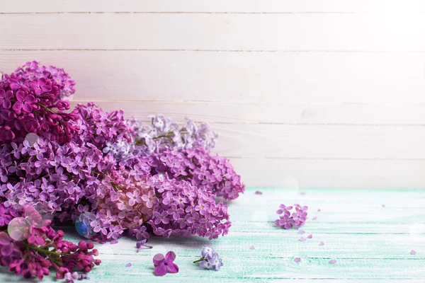 Bakgrund med lila blommor — Stockfoto