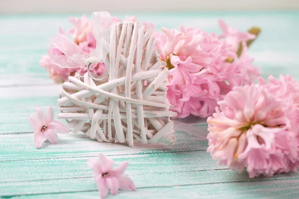 Decorative white heart and pink hyacinths — Stock Photo, Image