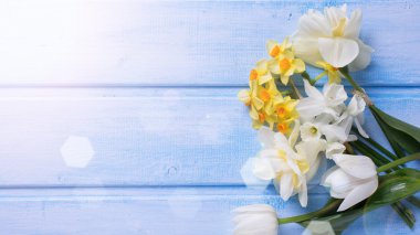 Sarı nergis ve laleler