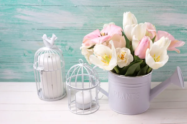 Bílé a růžové tulipány a Narcis — Stock fotografie