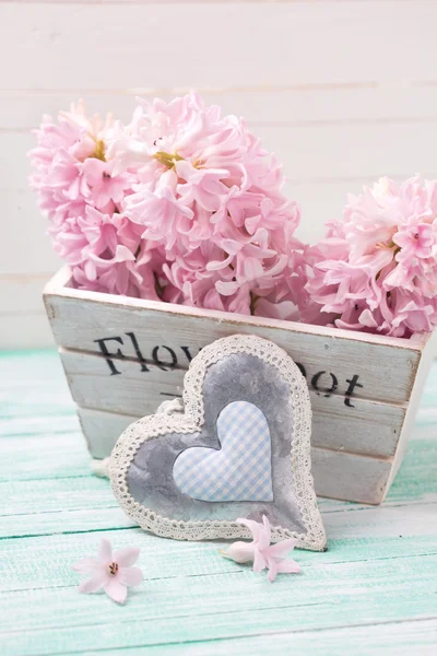 ताजे गुलाबी हायसिंथ फुले — स्टॉक फोटो, इमेज
