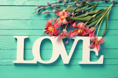 Fresh tulips  flowers and willow branches