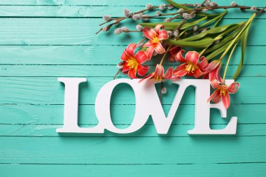 tulips  flowers and willow branches