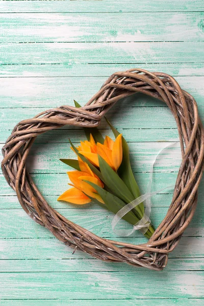 Fiori di tulipani freschi e cuore decorativo — Foto Stock