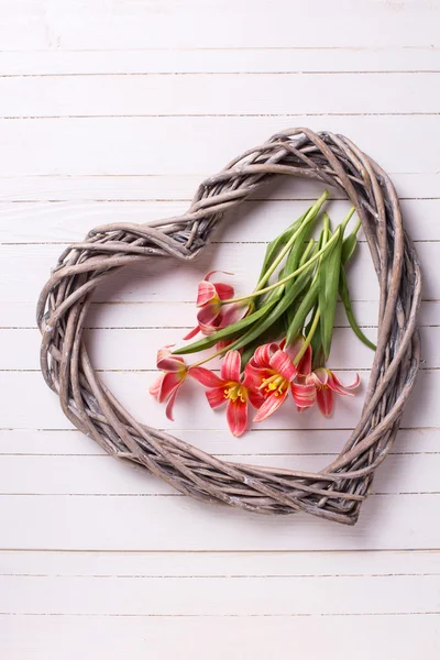 Rosa Tulpenblüten und dekoratives Herz — Stockfoto