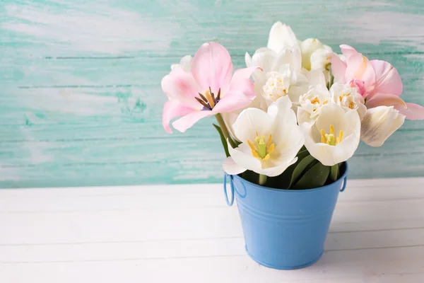 Narcissus and pink tulips — Stok fotoğraf