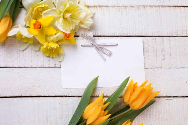 Frische frühlingshafte gelbe Narzissen und Tulpen — Stockfoto