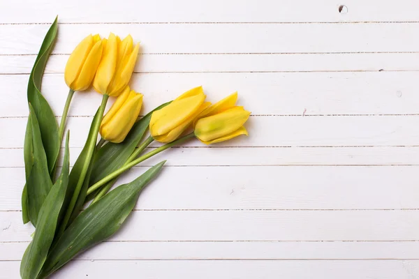 Tulipanes amarillos flores — Foto de Stock