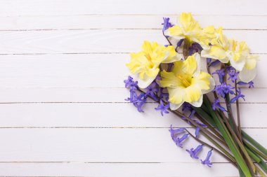 Parlak sarı ve mavi bahar çiçekleri