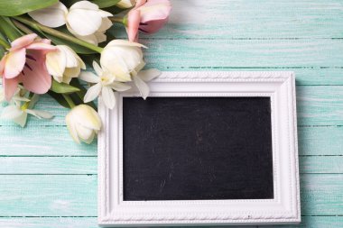 Beyaz Laleler ve boş yazı tahtası