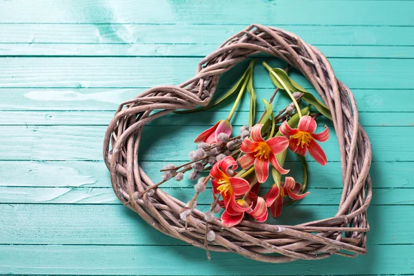 Frische frühlingshafte gelbe Tulpen — Stockfoto