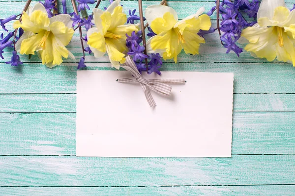 Flores primaverales brillantes amarillas y azules — Foto de Stock