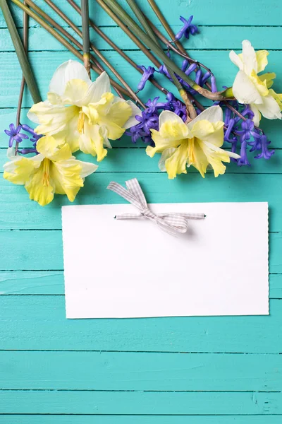 Ljust gul och blå vårblommor — Stockfoto