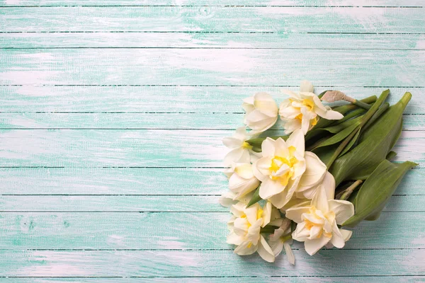 Fiori di tulipani gialli — Foto Stock