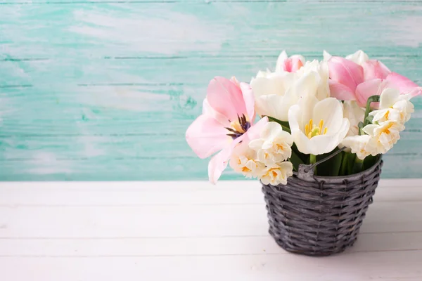 Tulipanes blancos y rosados —  Fotos de Stock