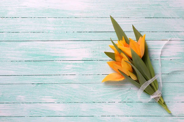Sárga tulipán virágok — Stock Fotó