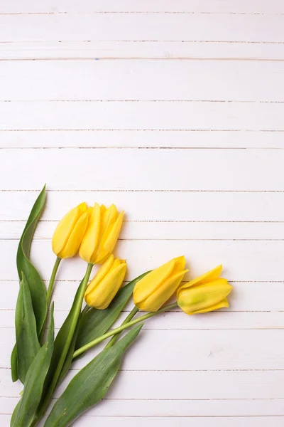 Fleurs de tulipes jaunes — Photo