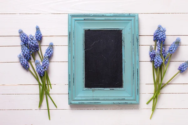 Blue muscaries flowers and empty blackboard — Stock Photo, Image