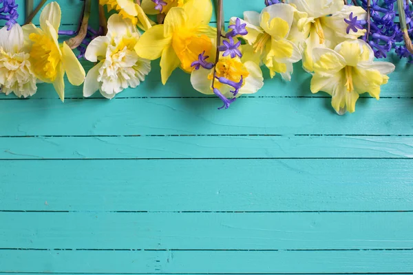 Flores primaverales brillantes amarillas y azules — Foto de Stock