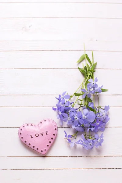 Blå blommor och dekorativa hjärta — Stockfoto