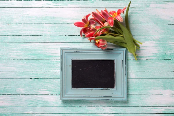 Red tulips and  empty blackboard — Stock Photo, Image