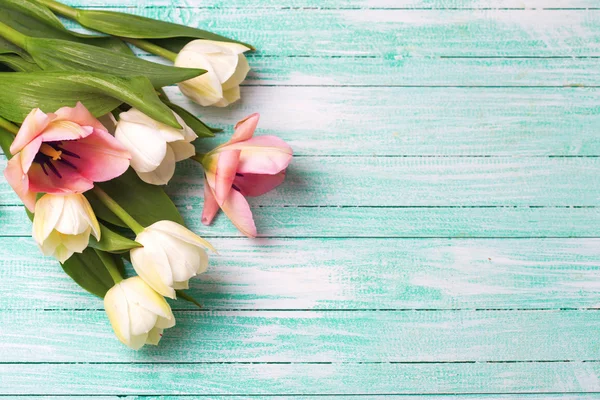 White tulips flowers — Stock Photo, Image