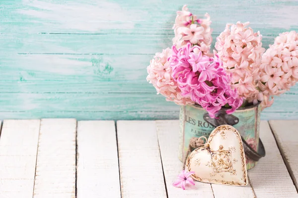 Flores de jacintos rosados frescos — Foto de Stock