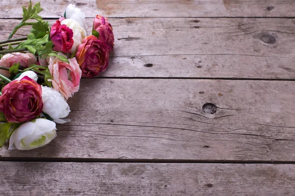 Flores en colores rosados — Foto de Stock