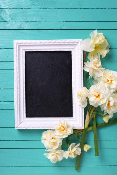 Świeże wiosenne kwiaty narcyzów — Zdjęcie stockowe