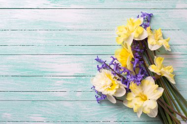 Parlak sarı ve mavi bahar çiçekleri