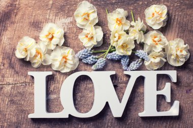 bahar narsisus çiçekleri