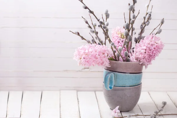 Hyacinths e flores de salgueiro — Fotografia de Stock