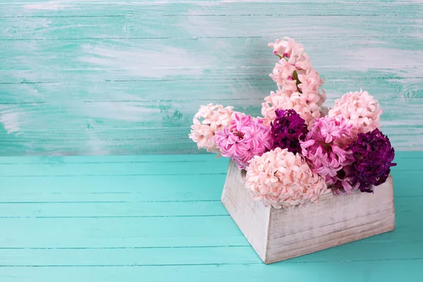 Hintergrund mit frischen rosa Hyazinthen — Stockfoto