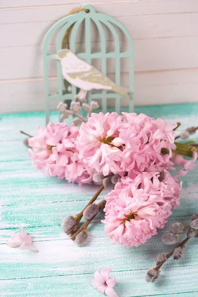 Background  with hyacinths,  willow flowers — Stock Photo, Image