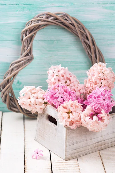 Postcard with pink  hyacinths — Stock Photo, Image