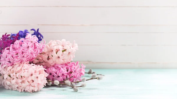 Giacinti e fiori di salice — Foto Stock