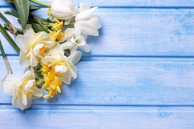 İhale beyaz ve sarı çiçek