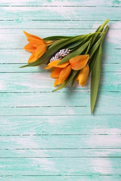 Flores frescas de tulipanes amarillos —  Fotos de Stock