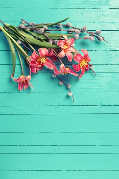 Rode tulpen bloemen, takken van de wilg — Stockfoto