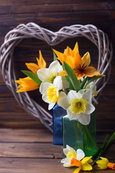 Narciso amarillo primavera fresca — Foto de Stock