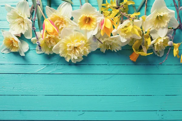 Border from yellow narcissus — Stock Photo, Image