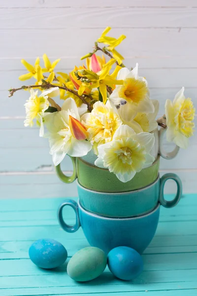 Gula påskliljor blommor — Stockfoto
