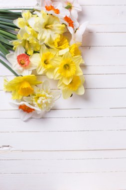 Bahar sarı nergis çiçekleri