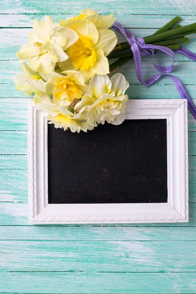 Fiori di Narciso giallo primaverile — Foto Stock