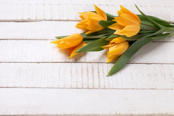 Květy žluté tulipány — Stock fotografie
