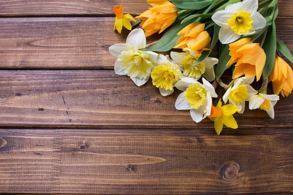 Narciso amarelo e flores de tulipas — Fotografia de Stock