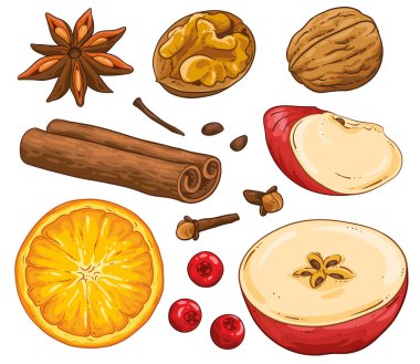 Kış baharatlarının özel bir koleksiyonu. Yıldız anason, ceviz, elma, portakal, tarçınlı rulo, karanfil, kızılcık. Beyaz arka planda el çizimi. Sıcak içecek baharatları..