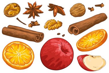 Kış baharatlarının özel bir koleksiyonu. Bir grup yıldız anason, ceviz, elma, portakal, tarçınlı rulo, karanfil. Beyaz arka planda el çizimi. Sıcak içecek baharatları..